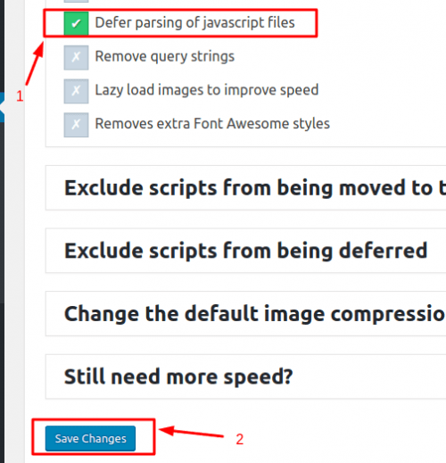 Mengatasi Defer Parsing of Javascript3