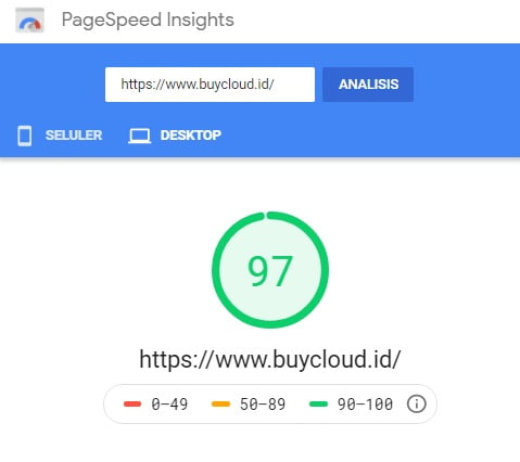 Google Pagespeed Insight2
