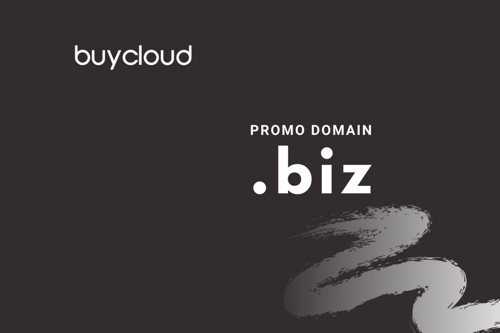 Promo Domain .BIZ September 2020 Rp 112.000
